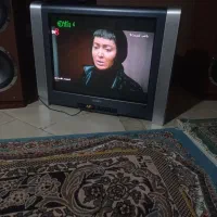 تلویزیون|تلویزیون و پروژکتور|گلبهار, شهر جدید گلبهار|دیوار
