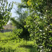 باغچه و باغ دنج امن / دیوار درب /سند اب