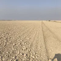 زمین کشاورزی