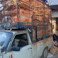 ضایعات کارتن