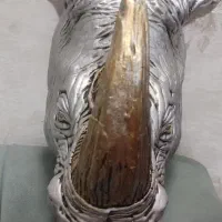 دیوار کوب بودا و کرگدن|مجسمه، تندیس، ماکت|مشهد, سرافرازان|دیوار