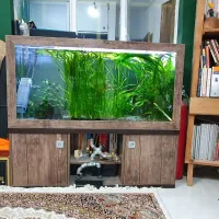 اکواریوم پلنت با تمام متعلقات و کبسول co2