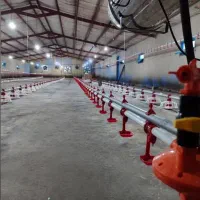 دانخوری بشقابی آبخوری|ماشینآلات صنعتی|شیراز, بعثت|دیوار