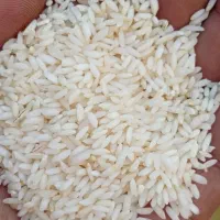 عنبربو|خوردنی و آشامیدنی|دزفول, |دیوار