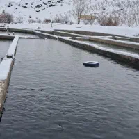 کارگر جهت کار در پرورش ماهی