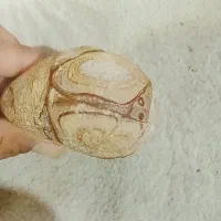 سنگ|جواهرات|شیراز, دروازه اصفهان|دیوار