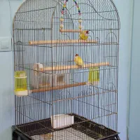 قفس بزرگ‌ ۱۰۳۴ با پایه چرخدار