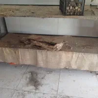 بساط میوه فروشی|فروشگاه و مغازه|تربتحیدریه, حسنی بالا|دیوار