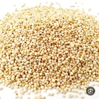 دانه کینوا سفید|خوردنی و آشامیدنی|خوانسار, |دیوار