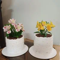 کیک ترند|خوردنی و آشامیدنی|مشهد, ویلاشهر|دیوار