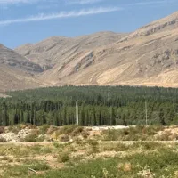 زمین-با-بهترین-لوکیشن-و-ویو-ابدی-با-اینده-عالی