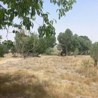 زمین سیفی کاری وباغی|فروش زمین و ملک کلنگی|همدان, |دیوار