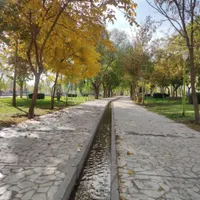 همفکری و راهنمایی