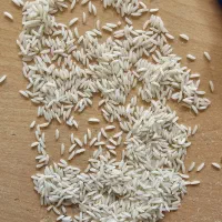 لاشه و برنج هاشمی|خوردنی و آشامیدنی|رضوانشهر, |دیوار