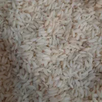 برنج عنبر بو