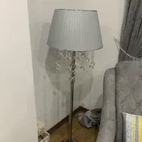اباژور ایستاده
