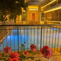 آشپز فرنگی و کارگر ساده و سالنکار