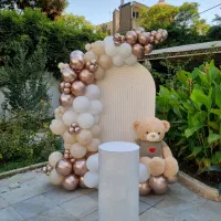 بادکنک آرایی و گل آرایی اجاره تم تولد جشن افتتاحیه|خدمات پذیرایی، مراسم|تهران, سعادت‌آباد|دیوار