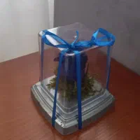 گل رز جاودان