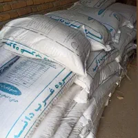 دان پردنده به قیمت عمده