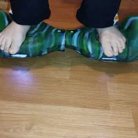 اسکوتر برقی و هوگو