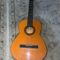 گیتار فرناندز اصل