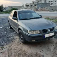 سمند معمولی