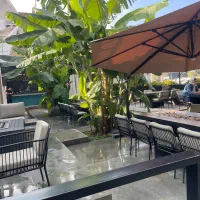 استخدام نیروی قلیان زن ماهر و سالندار