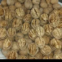 گردو وبادام سامان لوکس|خوردنی و آشامیدنی|اصفهان, شهرک امام خمینی|دیوار