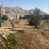 زمین‌184متری‌سرنبش‌شهدا‌زیرسهیل‌‌..تجاری