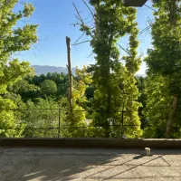 افسران-ویو-باغ-فول-مدرن