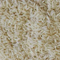 طارم امساله