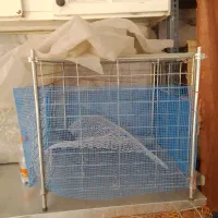 قفس|لوازم جانبی حیوانات|گلپایگان, |دیوار