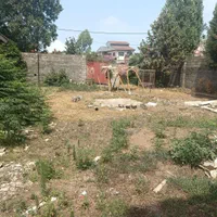 فروش زمین۶۰۲متر،سندتکبرگ،روبروی دهکده ساحلی،انزلی|فروش زمین و ملک کلنگی|رشت, دیانتی|دیوار