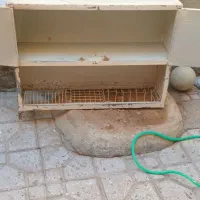 ابچکان کابینت هود|آب‌چکان و نظم‌دهنده ظروف|سنندج, |دیوار