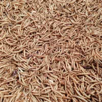 میلورم خشک درجه یک