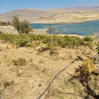 زمین و ملک|فروش زمین و ملک کلنگی|زند, |دیوار