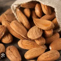 نیروی کارگر آقا