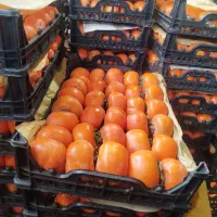 خرمالو وانار سوپر