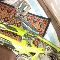 دوچرخه۲۰|دوچرخه، اسکیت، اسکوتر|گنبد کاووس, |دیوار