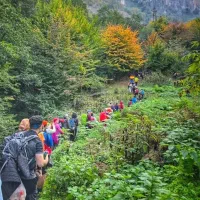 رسپینا تور|گردهمایی و همایش|کرج, گوهردشت|دیوار