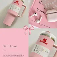 ماگ استنلی اصل(مناسب باشگاه و دانشگاه و)|کوهنوردی و کمپینگ|سنندج, |دیوار