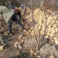 بنا و بنای و دیوارکشی باغات وتخریب|خدمات پیشه و مهارت|ارومیه, |دیوار