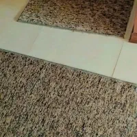 موکت سالم ودرحدنو پالاز|موکت|فردیس, قریشی|دیوار