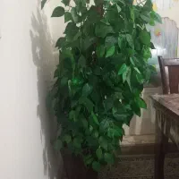 درختچه مصنوعی