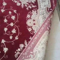 ۲ تخته فرش ۷۰۰ شانه|فرش|ارومیه, |دیوار