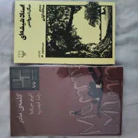 تعدادی کتاب ادبی|کتاب و مجله ادبی|زنجان, |دیوار
