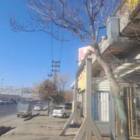 مغازه ۵۵ متری با بالکن ۳۰ متری|فروش مغازه و غرفه|باغستان, |دیوار