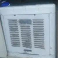 کولرابی