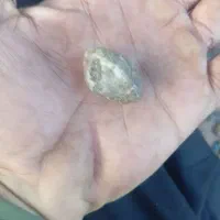 فروش سیب زمینی